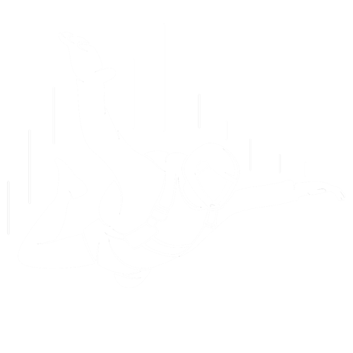 skydive blanco
